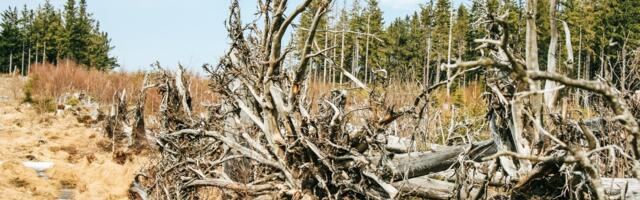 Kas ilmataat ikka on kristlane?