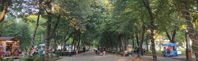 Takmičenje u jedenju ljutih paprika i pravljenju paprikaša u Niškoj Banji