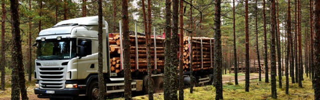 Kuidas päriselt elu käib: RMK hange – võsasaetööd Kagu metsakasvatuse piirkonnas 2026-2027