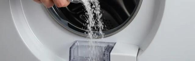 Pesumasin haiseb ja pesu ei lõhna värskelt? See looduslik koostisosa lahendab probleemi kiiresti