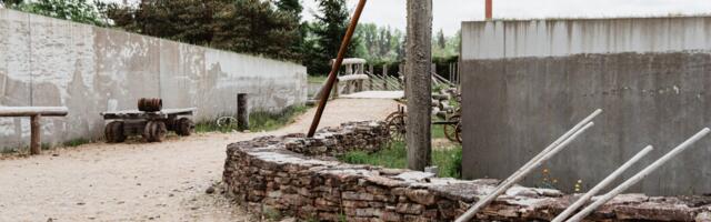 Aeglase vaatamise päev muuseumis turgutab vaimset tervist – ka Eesti Maanteemuuseum kutsub aeglustama