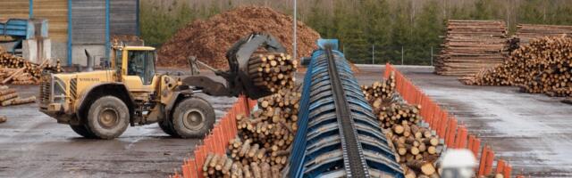 TOP 10: puidutööstuse parimad palgamaksjad