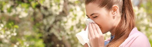 Ravimata hooajalisest allergiast võib välja kujuneda astma
