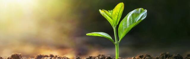 Euroopa Liidu (EL) rahastatav programm aitab terviseidude tooted ja teenused kiiremini turule tuua