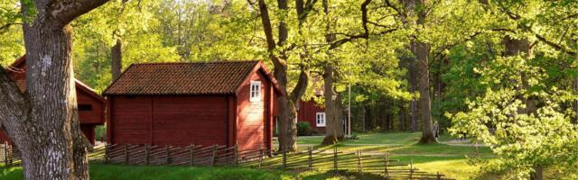 Päevahoroskoop : reede, 20. juuni