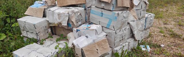 Klooga metsast leitud koroonateste  katab endiselt saladuseloor