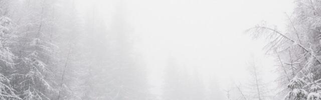 3 päeva ilm – Läheb külmaks ja saabub lumi!