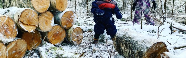 Mart Kase: paar lihtsat uue aasta väljakutset