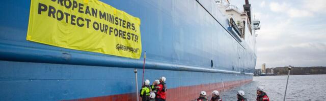 Greenpeace'i aktivistid protesteerivad Saksamaal Skandinaavia metsanduse vastu