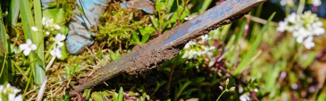 Aia- ja haljastusjäätmete vedu saab tellida oma piirkonna jäätmevedajalt