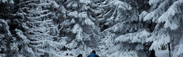 Kus tegeleda murdmaasuusatamisega?