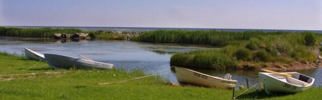 Saaremaa, Muhu ja Ruhnu maitsete aasta saab avapaugu piknikuga Väinatammil