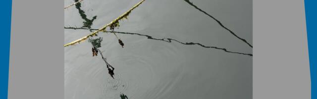 Reet Varblase mälestusele pühendatud grupinäitus Vabaduse galeriis