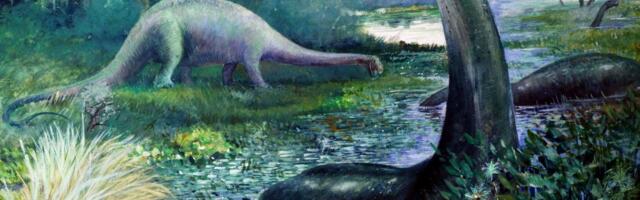 Teadlased tegid olulise avastuse dinosauruste fossiilide uurimisel