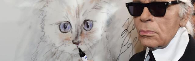 Karl Lagerfeldi hiilgepäranduse saatus on segane. Kas kass ja disaineri usaldusisikud jäävad miljonitest ilma?