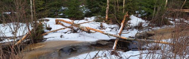 ChatGTP: miks on veebruar tavalisest lühem kuu?