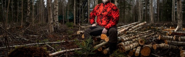 Graanul Investi metsaga varustaja: me ei raiu pelletite jaoks