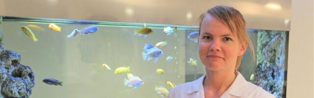 Radioloogiatehnikuks saab sel aastal õppida ka Tallinnas