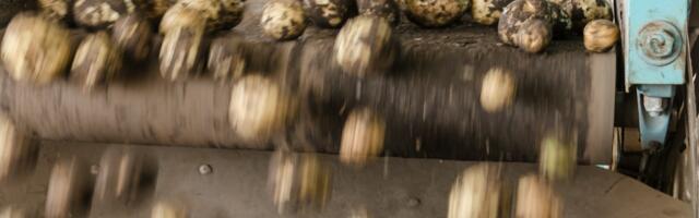 Toiduainetööstused ja põllumajandusettevõtted saavad peagi taotleda erakorralist toetust