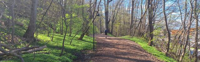 KOMMENTAARIDETA: Karulaugu terviserada 5. mail 2024