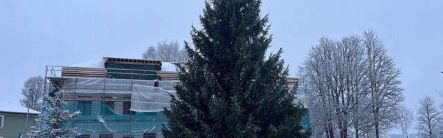 Talvepealinn Otepää sai jõulupuu