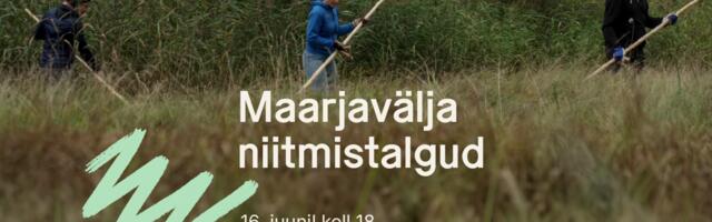Maarjaväljal saab ühiselt vikatiga niita