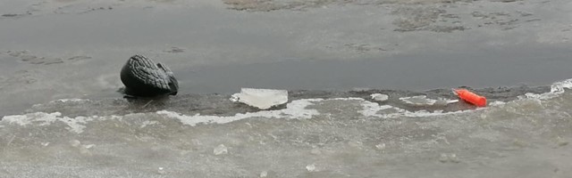 Audru jõe suudmes vajusid kalamehed läbi jää