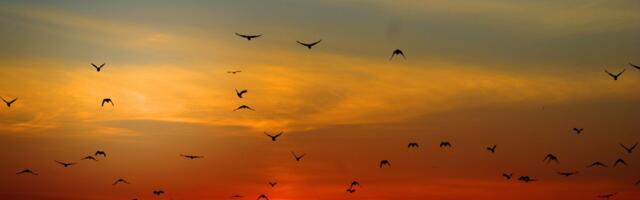 Ees on võimsad uued algused ning potentsiaalselt uus maailmakord