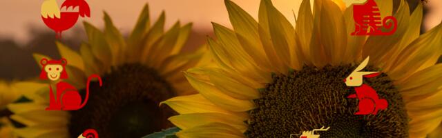 Hiina horoskoop  - 10. augusti päevahoroskoop igale loomamärgile