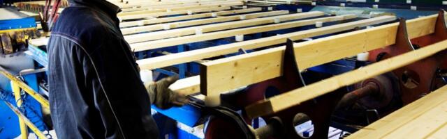 Puidutööstuse aastaraport: juhid näevad stabiliseerumist, kuid riskid jäävad kõrgeks