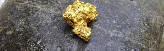 Megatrend: kuld on nüüd riikide reservides suurem vara kui USA võlakirjad