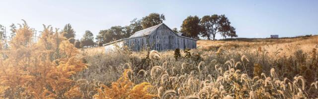 Vanast majast uus kodu: kuidas finantseerida renoveerimist või ehitust?