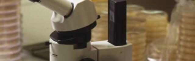 Soome tööstustoodang kasvas oktoobris 17 protsenti, liider keemiatööstus