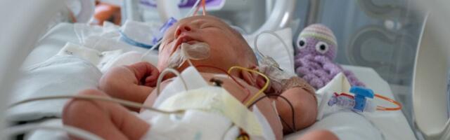 ITK emapiimapank saab 14aastaseks