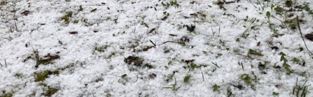 Taevaskojas oli keset maikuud maa valge