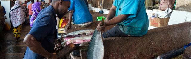 TURUKOMMENTAAR | Sansibari turu eksootika on eestlasele liig