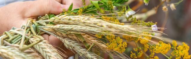 Horoskoop : milline päev toob sinu tähemärgile sellel nädalal õnne?