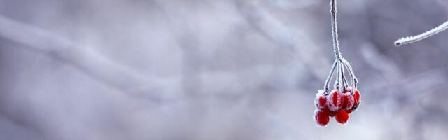 Soomes langeb õhutemperatuur üle 10 kraadi, külmakraadid riigi lõunaosani välja