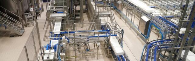 Vilvi Group koondab Eesti piima Lätti, Bauskas alustas tööd 60 miljonit maksnud juustutehas