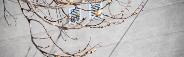 Neljapäeval on sooja kuni 12 kraadi