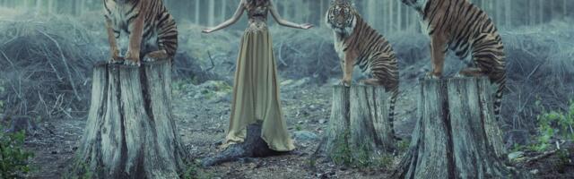 Elu läheb üha enam käima ja miski ei hoia enam tagasi!