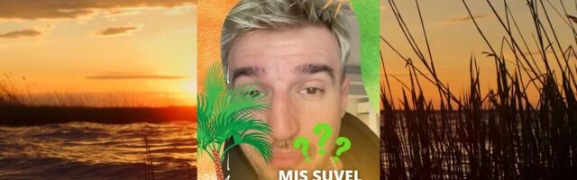 Mis toimub Reporteri Instagramis?