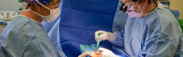 Soome arstid tulevad Eestisse tööle ja Elva Haigla laiendab nende abil haaret