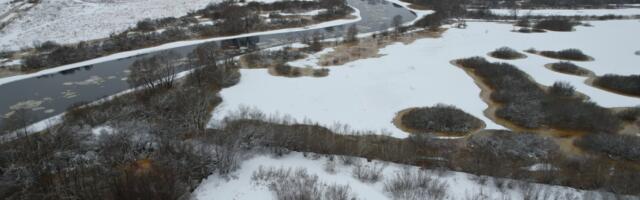 Fotod: Emajõe veetase Tartu linnas on viimase 13 aasta kõrgeim