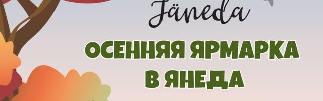 Осенняя ярмарка в Янеда