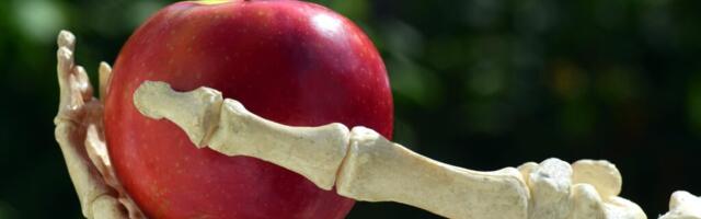 7 märki toksilisest suhtest