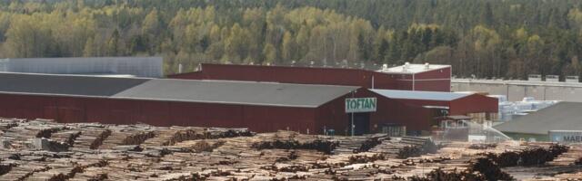 Lõuna-Eesti inimeste toimetulekus on võtmeroll metsa- ja puidutööstustel