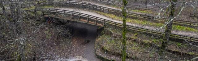 Kohtuvaidluse tõttu takerdunud Nõmme uue suusasilla ehitus sai rohelise tee. Sellele vastu seisnud looduskaitsjad leppisid kompromissiga