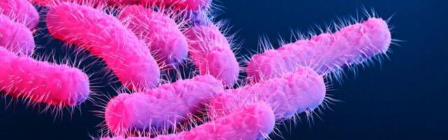 CDC hoiatab ravimresistentsete bakterite arvu suurenemise eest