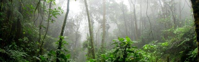 Tallinna linnapea linnaosavanema kaugtööst Laoses: seda ma mõistlikuks ei pea